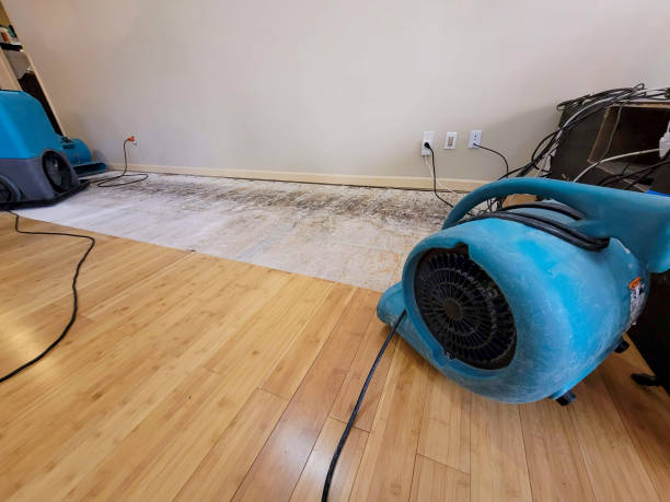 Professional Structural Drying technician working in Carrollton, KY